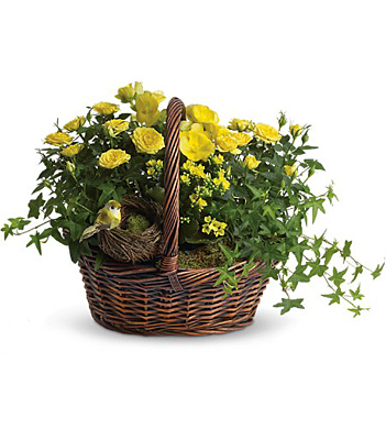 Yellow Trio Basket